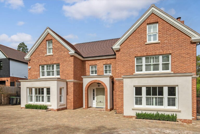 Read more about the article Warren